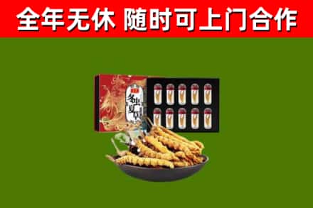 酉阳回收冬虫夏草价格