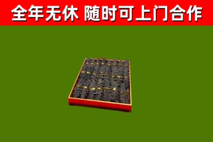 酉阳回收海参